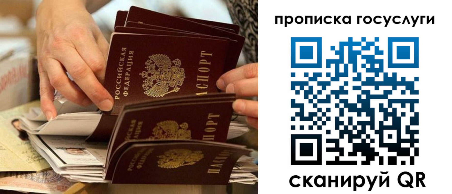пропишу в квартире в Бологом